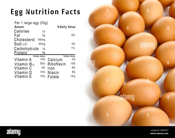 3 egg omelet nutrition